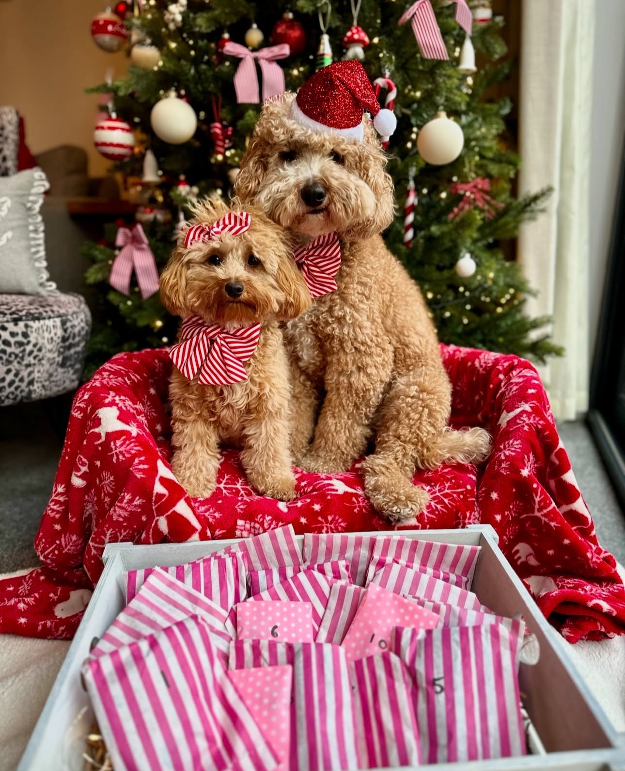 DELUXE ADVENT CALENDAR